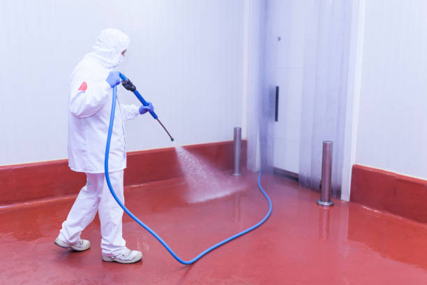 Best Commercial Pressure Washing in Brookhaven, PA